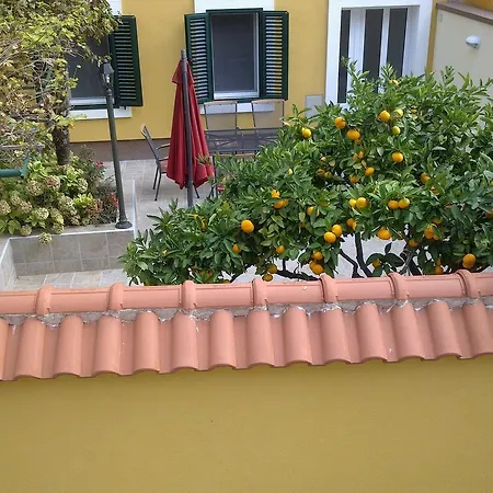 Little Tony- Center 40m Holiday home Crikvenica